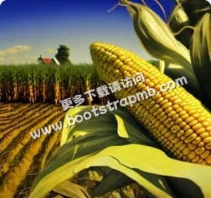 聚焦主流电竞赛事，全面覆盖 - 一竞技