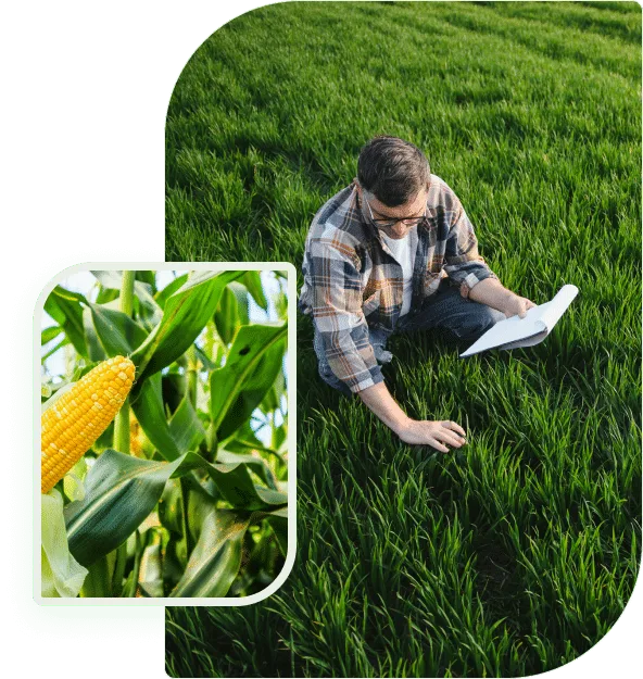 高效获取电竞最新情报 - 一竞技